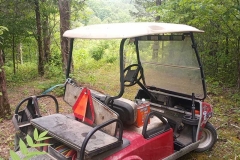 golf-cart