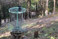 lighted-baskets