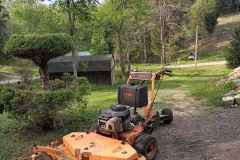 mower